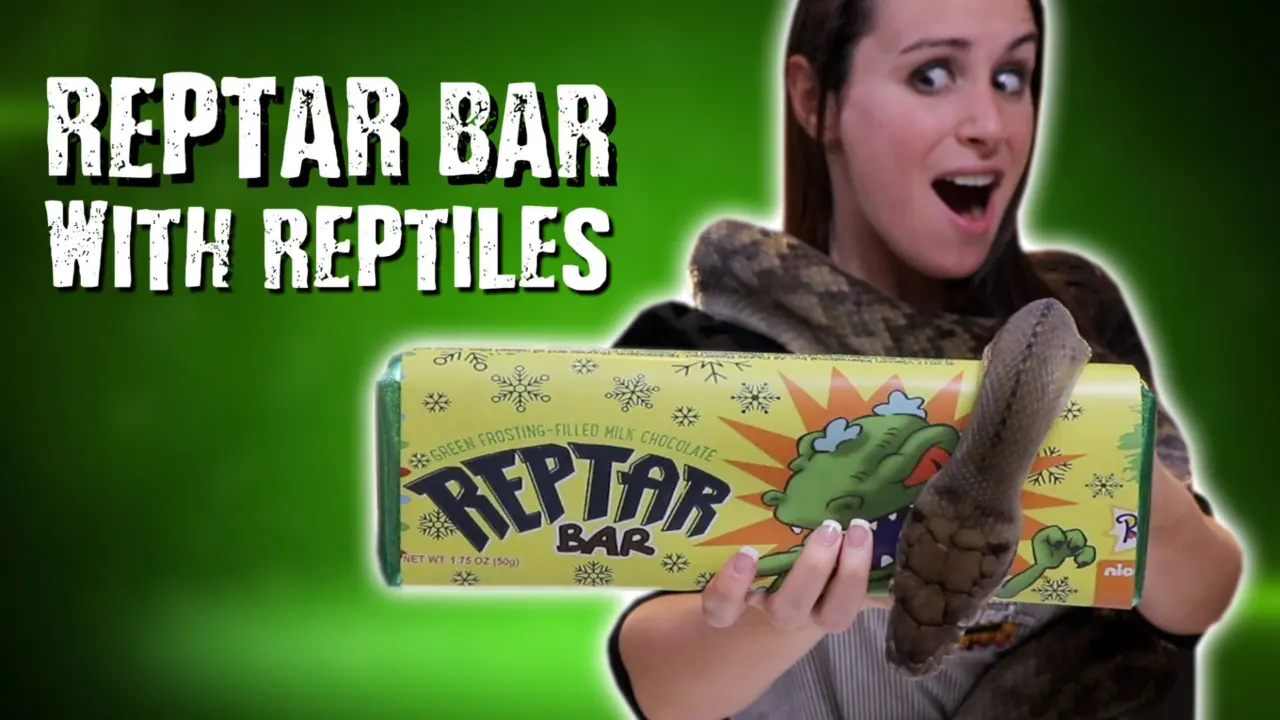 DIY Reptar Bars