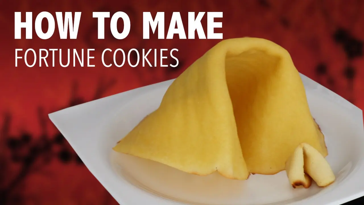 GIANT FORTUNE COOKIE