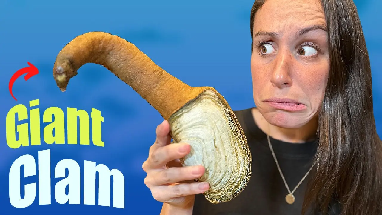 Cooking Seafoods LARGEST Clam Feat. The Geoduck